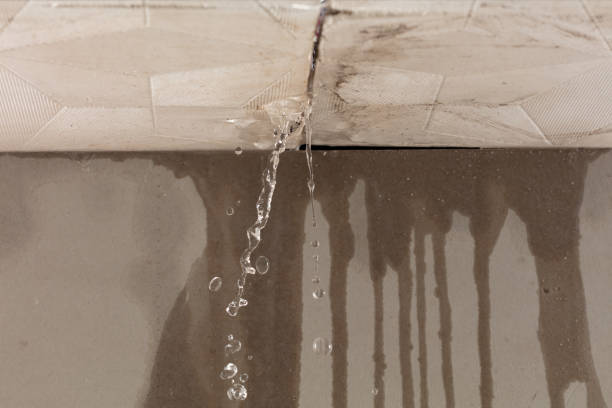 Professional Water Damage Inspection technician working in Lynnfield, MA
